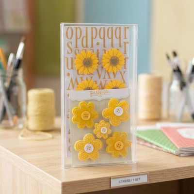 Crystal Clear Boxes® 4 1/16" x 5/8" x 7 9/16" 25 pack