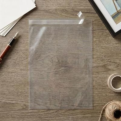 Crystal Clear Bags® with Flap 10 7/16" x 13 1/4" 100 pack