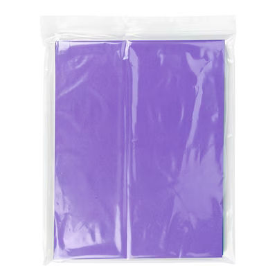 LDPE Clear Zip Bags, 2 mil 10" x 12" 100 pack