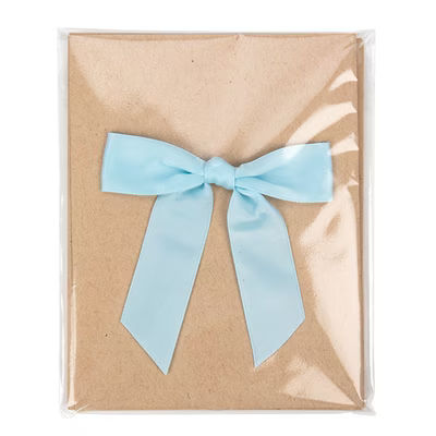 Premium Eco Clear Bags 4 7/8" x 6" 100 pack