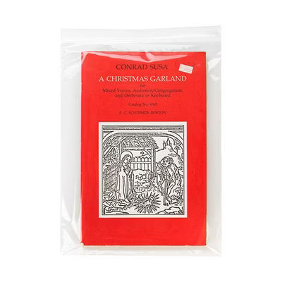Crystal Clear Zip Bags 9" x 12" 100 pack