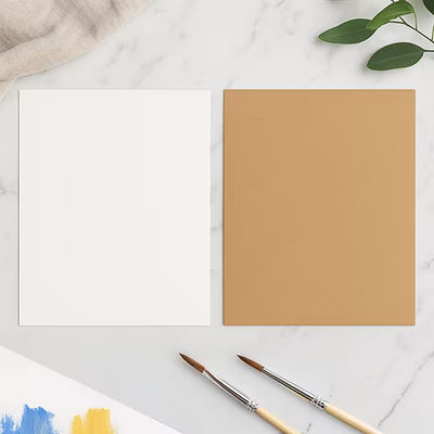 9" x 12" ClearBagsÃ? Single Sided White Backing Board