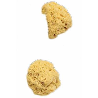 Spugna Nat Fori L 8/9 5 Cm 1 St