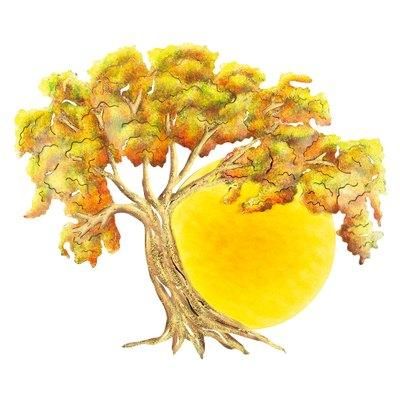 'Sunset Oak' (medium) - Collectible Hand Painted Tree Steel Wall Art