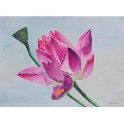 Lotus Flower,'Signed Watercolor Painting of a Lotus Flower from Peru'