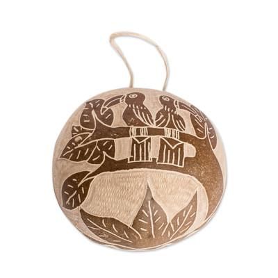 'Costa Rican Hand-Carved Dried Calabash Gourd Toucan Wall Art'