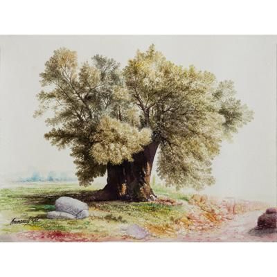 The Olive,'Watercolor Tree Painting from Peruvian Artist'