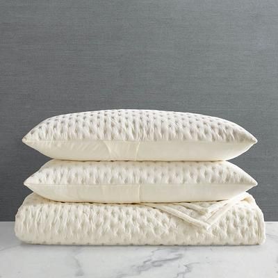 Rumi Velvet Bedding Set - Dune, Queen - Frontgate