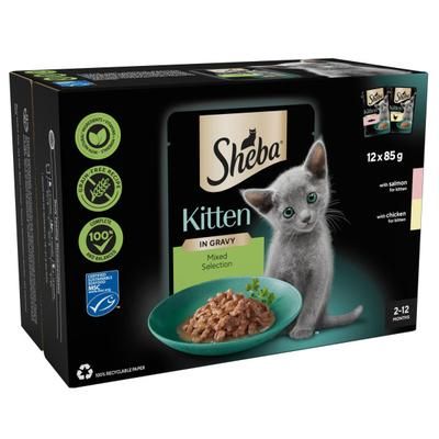 24x85g Mixed Selection in Gravy Kitten Pouches Sheba Wet Cat Food