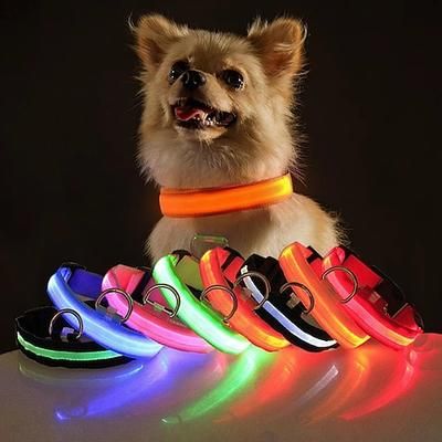 collare per cani incandescente collare luminoso lampeggiante regolabile notte imbracatura per cani anti-smarrimento per prodotti per animali domestici di piccola taglia