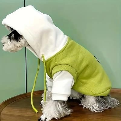 Cane Gatto Felpa con cappuccio Sport e Outdoor Casual Inverno Caldo Traspirante Morbido Lavabile Confortevole All'aperto Casual Quotidiano Abbigliamento per Cani for Bichon Frisé Volpino di Pomerania