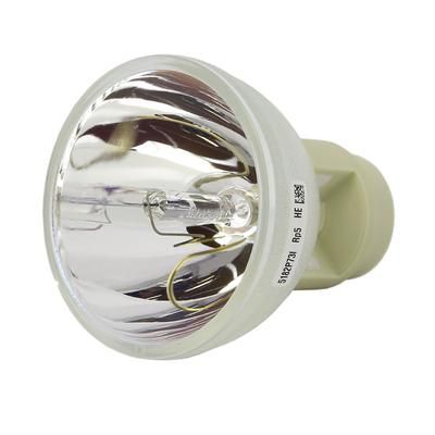E20.9n 210W 0.8 AC Bare Projector Lamp replaces the 55069 - 90 Day Warranty