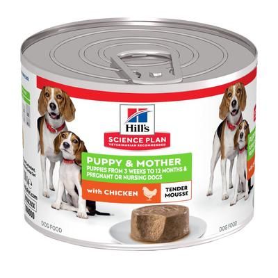12x200g Chicken Tender Mousse Puppy & Mother Science Plan Hill's Wet Dog Food