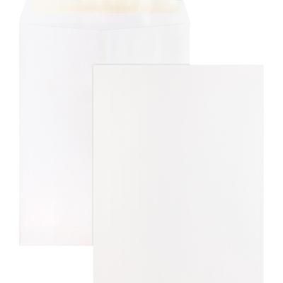 Business Source 65451 Catalog Envelopes, Removable Strip, 10 x 13 , White - Pack of 100 BSN65451