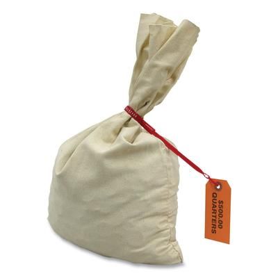 Controltek 530000 Canvas Coin Transit Bag, 12 x 19, Beige CNK530000
