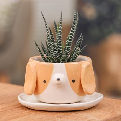 Beagle Spring,'Glazed Beagle Dog Ceramic Mini Flower Pot and Saucer (Small)'