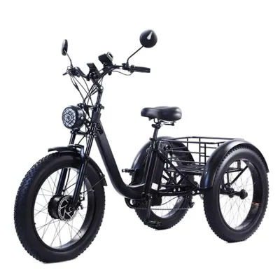 Electric Fat Bike 24 Inch Three Wheel Electric Bicycle Powerful Snow Mountain Electric Bike Adult Men's Women's
