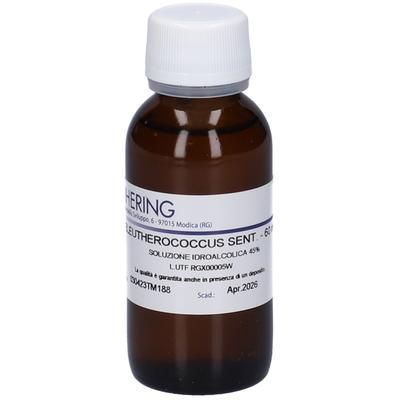 HERING Eleutherococcus Tintura Madre 60 ml Gocce orali