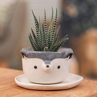 'Hand-Painted Ceramic Wolf Mini Flower Pot and Saucer (Small)'