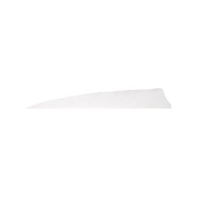 Gateway Shield Cut Feathers White 4 in. RW 100 Pk. 400RSSFW-100
