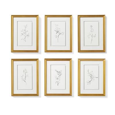 Nature's Gift Giclee Prints - Print VI - Frontgate