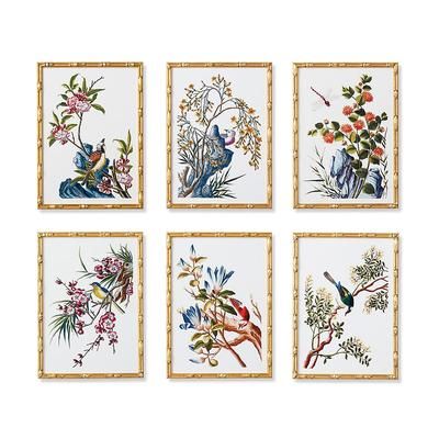 New York Botanical Garden Buchoz Botanical Prints - Botanical IV - Frontgate