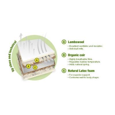 Natural Mat Organic Mattress In Latex (27" x 52")