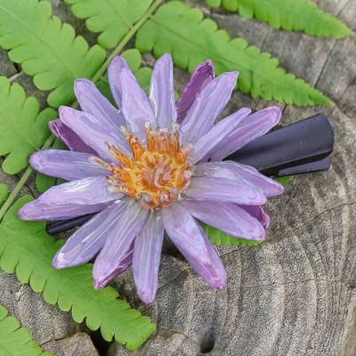 'Resin-Coated Natural Water Lily Hair Clip in Purple Shade'
