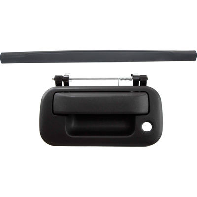 Replacement Tailgate Molding Black, 1-year unlimited-mileage warranty KIT-072924-C3724