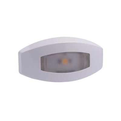 Lumitec Fiji Courtesy Direct 5-26 Lumens LED Light w/ Housing 4 Pack White Housing RGBW 101763