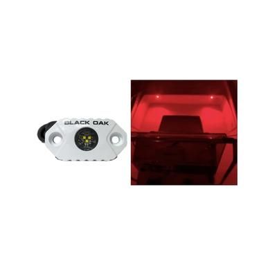 Black Oak LED Rock Accent LED Light White Housing Red MAL-R