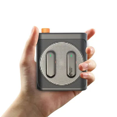 Amplificateur vocal portable avec microphone Lavalier, mini haut-parleur mégaphone sans fil pour enseignants, personnes âgées, guides touristiques, entraîneurs,