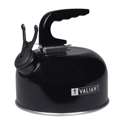 TEMU Camping Kettle