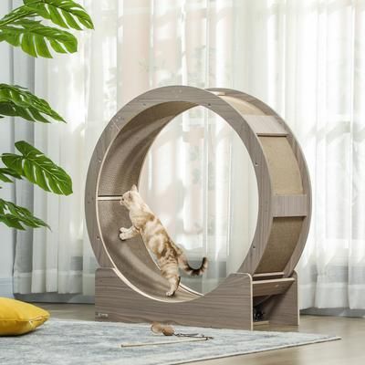 TEMU Cat Wheel For Indoor Cats, Cat Treadmill With Brake, Scratching Pads, Cat Exercise Wheel For Health - Brown