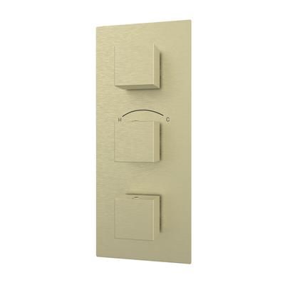 Randolph Morris Thermostatic Valve -3F- 3 Square Handles RMAS-TV3SQ-3F-BB