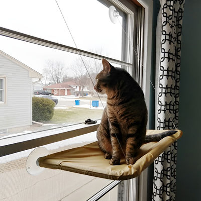 Cat Hammock Cat Hammock