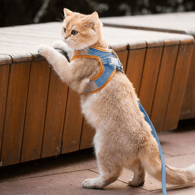 Luminous Escape Proof Cat Harness Blue 3XL