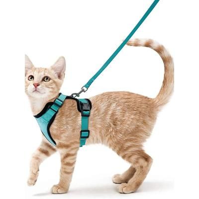 Adjustable Cat Harness And Leash For Walking, Escape Proof, Easy Wear Design For Safe Outdoor Adventures mint Green s