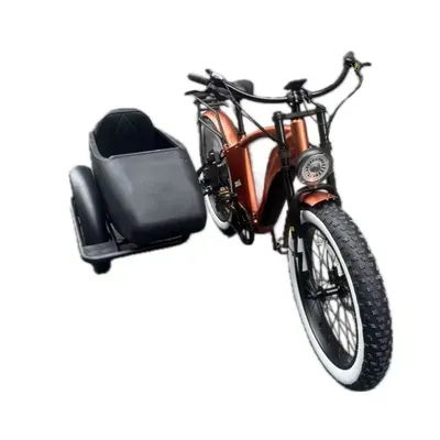 Electric bicycle sidecar adult electric tricycle electric cargo tricycle 750w hidden lithium battery etrike sidecar