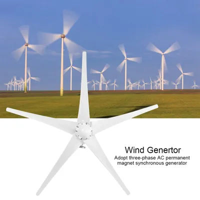 5 Blades Wind Generator 800W Small Wind Generator 5 Blades Power Parts Turbines Kit for Marine Home Charging 800W Wind Generator