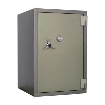 Steelwater SWBFB-1054 Fire & Burglary Safe - Gray - Gray