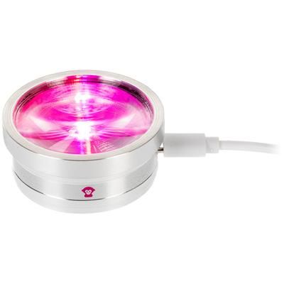 Ape Labs ApeCoin USB-C