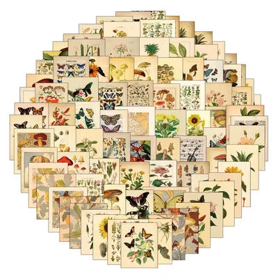 100pc Plant Insect Specimens Graffiti Stickers, Aesthetics Stickers Water Bottle,Skateboard,Decal Party Supply Bicycle Sticker