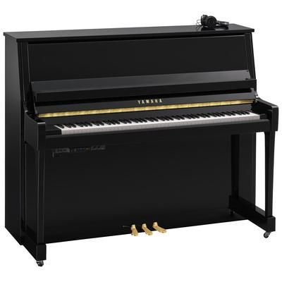 Yamaha B30 SC3 PE