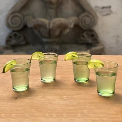 'Tropical-Inspired 4-Piece Clear Green Drinking Glass Set'