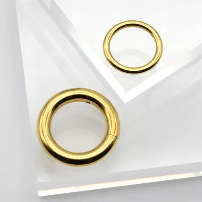 1Pc PVD Hinged Segment Ring Clicker PA Rings Hoop Ear Gauges Earrings 316L Surgical Steel Septum Nose Rings Ear Stretching BCR