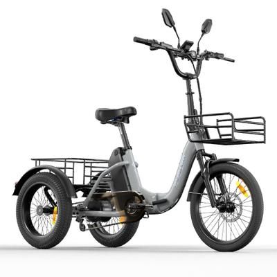 CYSUM AG1 PRO Triciclo elettrico da carico, batteria 48V 20AH, cestini