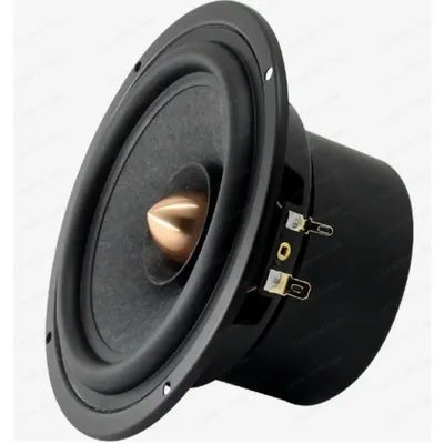 SSM 1 pièce, haut-parleur large bande de 5,25 pouces, cône en papier à fibres de laine de qualité audiophile, 25W