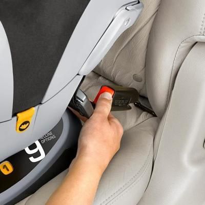 Chicco NextFit Convertible Car Seat - Intrigue