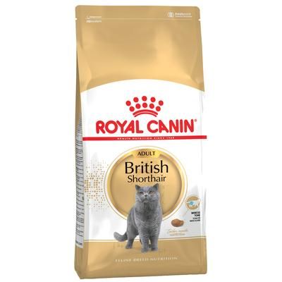 4kg British Shorthair Adult Royal Canin Dry Cat Food